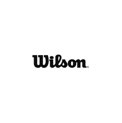 лого-бренда-Wilson